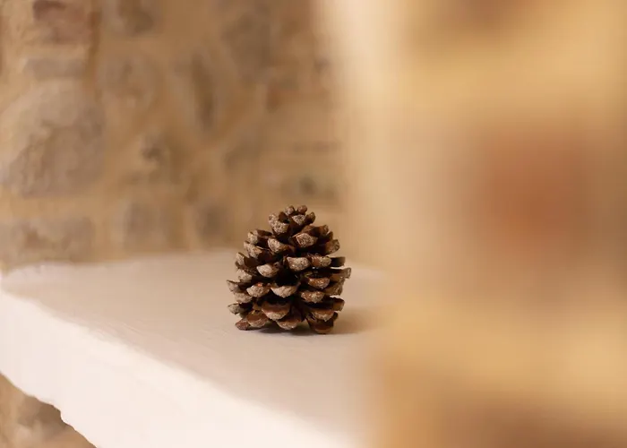 Casa vacanza: Agriturismo Santo Stefano